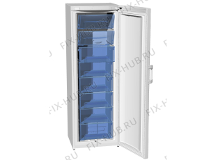 Холодильник Gorenje F61300DW (235055, ZOS3167) - Фото